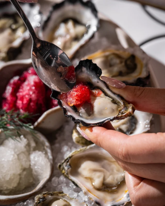 As fresh as it gets.
ㅤ
@sweetheartsterraza